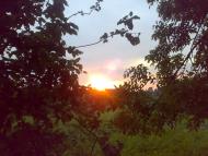 Меленці - Останні фото