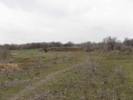 Широка Дача з panoramio.com
