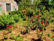 Козацьке з panoramio.com