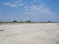 Приморське з panoramio.com