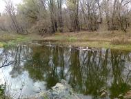 Юганівка з panoramio.com