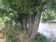 Гавришівка з panoramio.com