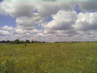 Кропивна з panoramio.com