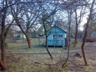 Козин з panoramio.com