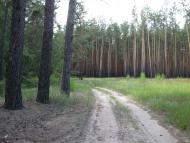 Старый Караван - Последние фото