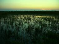 Нехаївка з panoramio.com