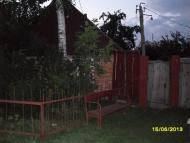 Коршачина - Останні фото