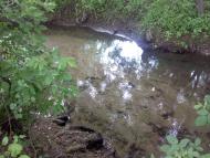 Ляшківці з panoramio.com