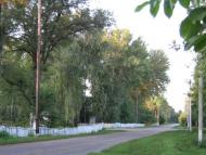 Шевченкове з panoramio.com