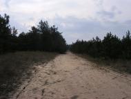 Саги з panoramio.com