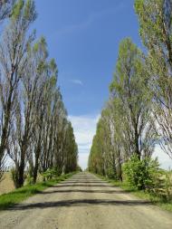 Хорохорин - Останні фото