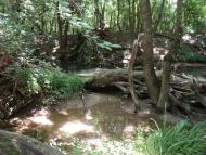 Інкерман з panoramio.com