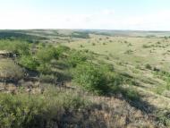 Дякове з panoramio.com
