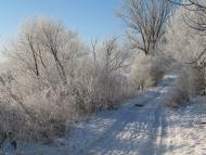 Семенівка з panoramio.com