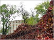 Прилуки з panoramio.com