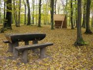 Іванівці з panoramio.com