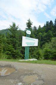 Кринтята - Останні фото