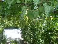 Менжинське з panoramio.com