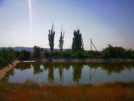 Новопавлівка з panoramio.com