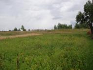 Чудівка з panoramio.com