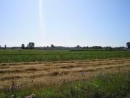 Велицьк з panoramio.com