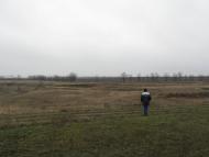 Роза з panoramio.com