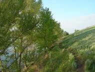 Печеніги з panoramio.com