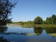 Вільне з panoramio.com