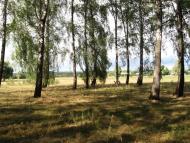 Смичин з panoramio.com