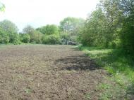 Ставчани з panoramio.com