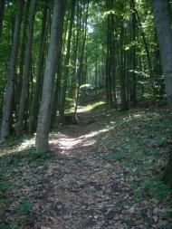 Кам'яниця з panoramio.com