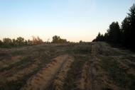 Юганівка з panoramio.com