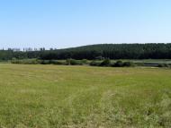 Воютин з panoramio.com