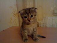 Zolochiv - Latest photos