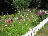 Залухів з panoramio.com