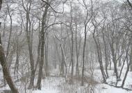 Зугрес з panoramio.com (ч.2) - Zugres