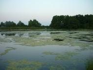 Нехаївка з panoramio.com