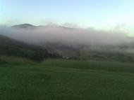 Ластівка - Останні фото