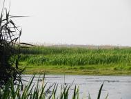 Кириківка - Останні фото