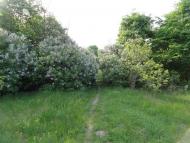 Красний Бір з panoramio.com