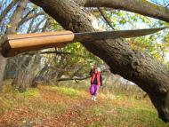 Ліски з panoramio.com