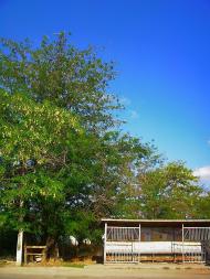 Молодіжне з panoramio.com