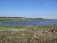 Петрушин з panoramio.com