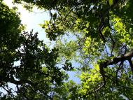 Миколаївка - Останні фото