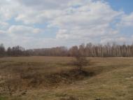 Дачне з panoramio.com