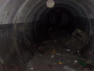 Введенка з panoramio.com