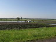 Taganka - Latest photos