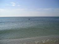 Біленьке з panoramio.com