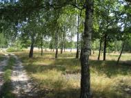 Залухів з panoramio.com