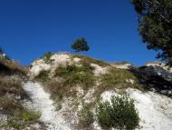 Скалисте з panoramio.com